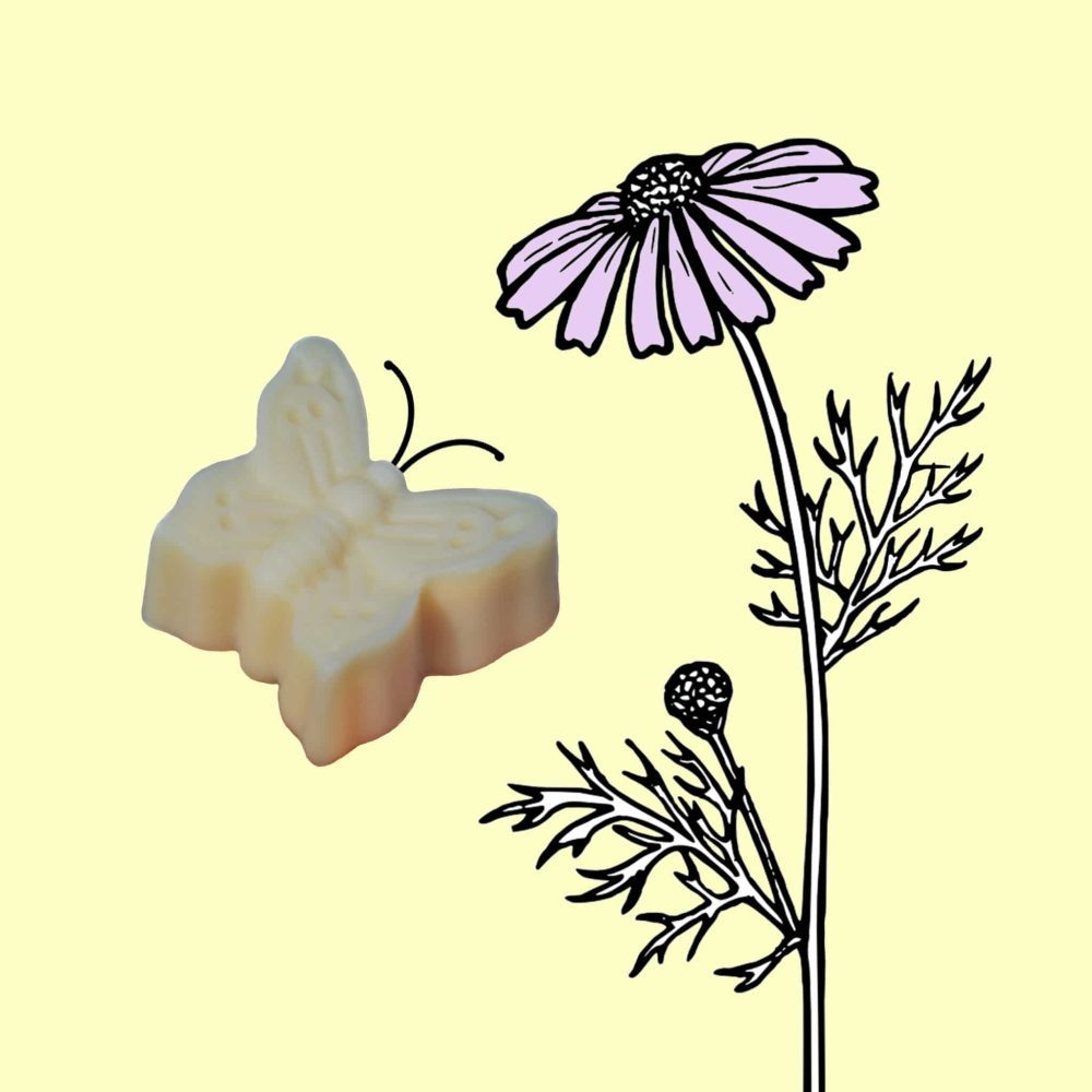 ˂img src="Jemné přírodní mýdlo čistě rostlinné-motýlek Venoušek.jpg"alt="jemné přírodní mýdlo čistě rostlinné ve tvaru motýlka vhodné i pro miminka"˃